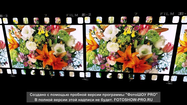 Красивые цветы.