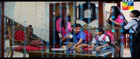 Tere Baghair Episode 9 Full on Hum tv 31st December 2015