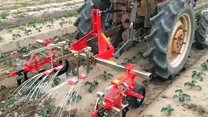 Tiller used on beds and in furrows