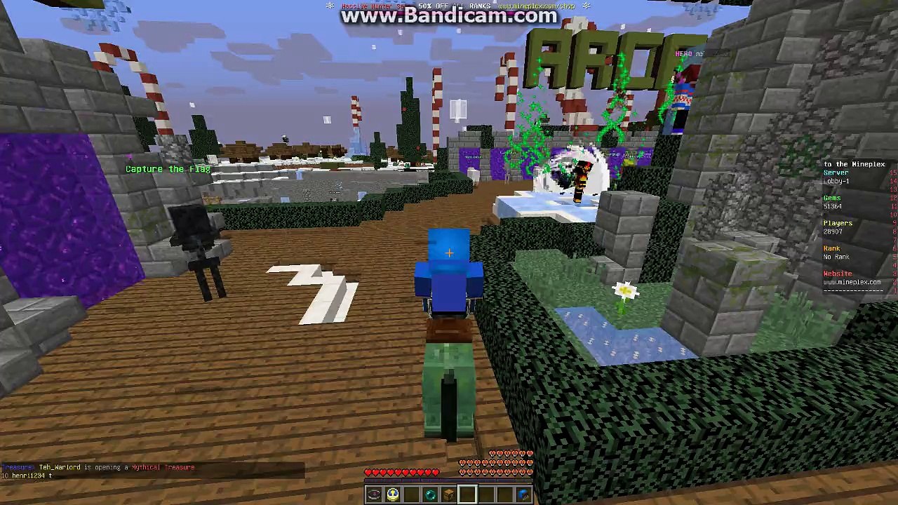 Mineplex Bug #1