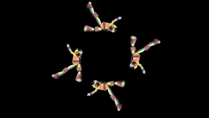 TMNT’s Michelangelo 3D Hologram Dance |