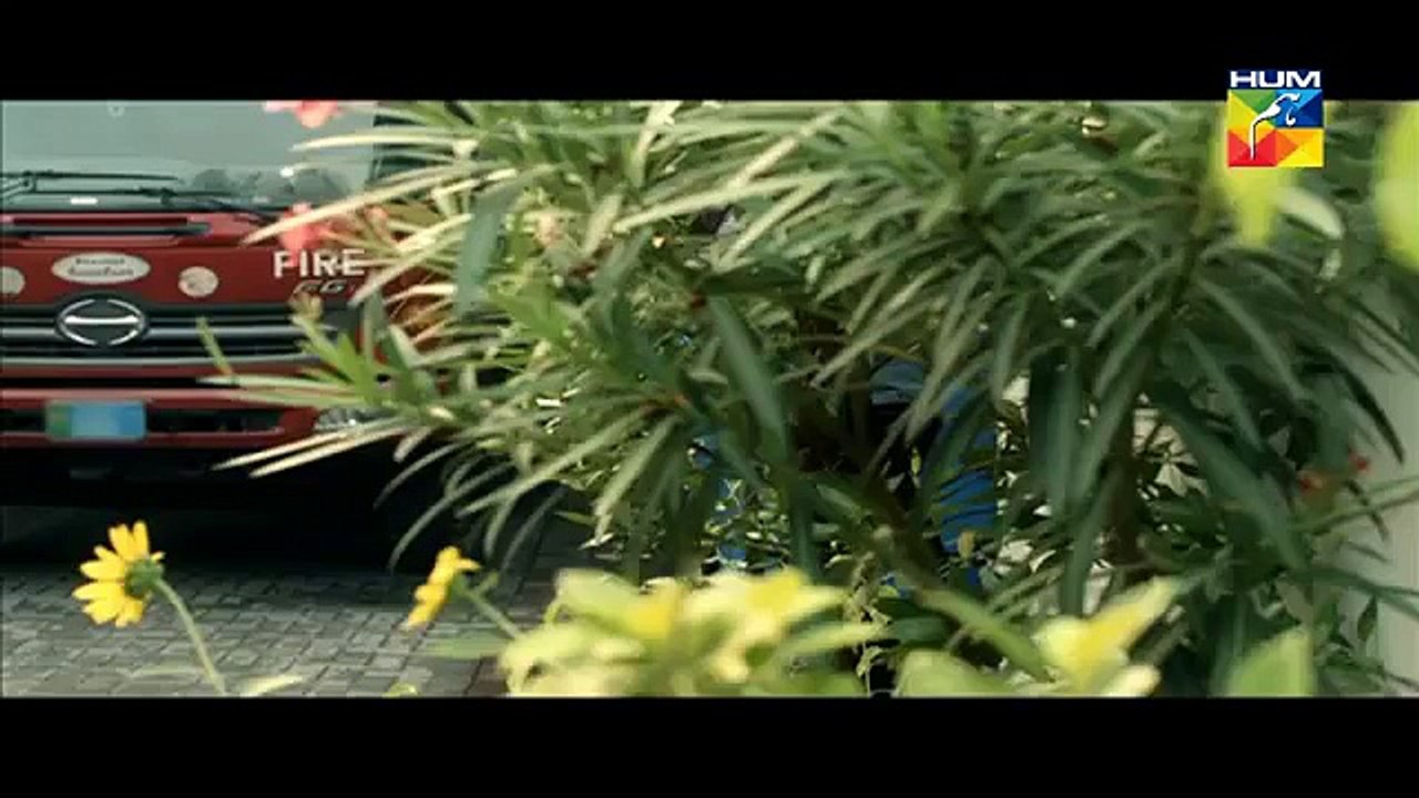 Sangat Episode 20 Full HUM TV Drama 31 Dec 2015