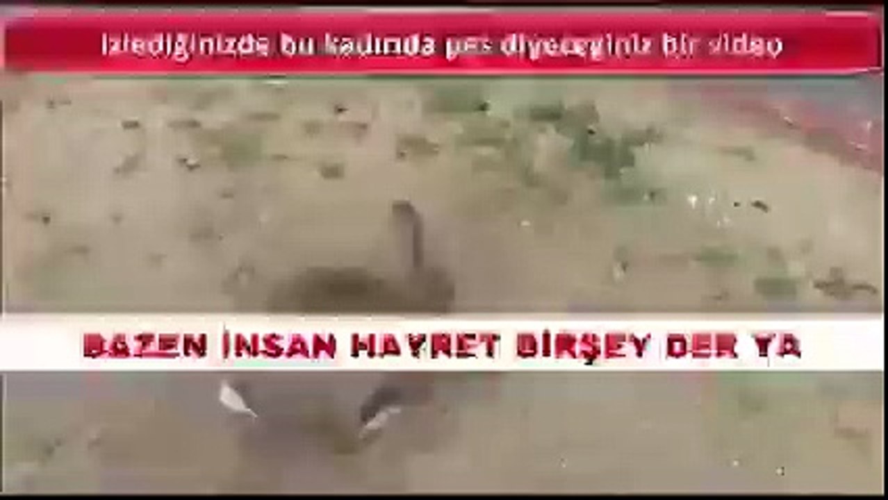 Во как )