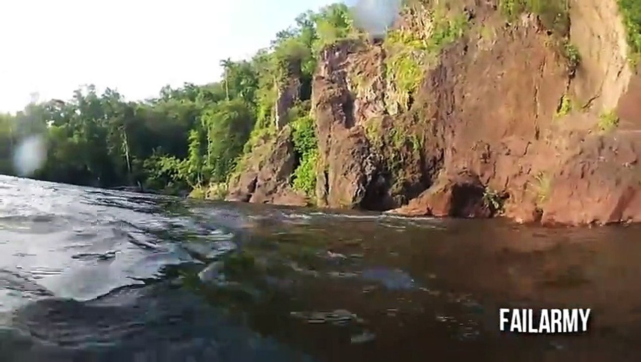 When Animals Attack Compilation __ FailArmy