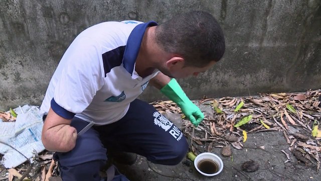 Opérations anti-moustiques à Rio pour lutter contre la dengue