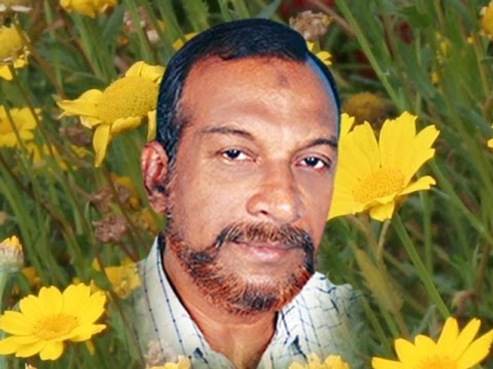 Aarodu Chollum