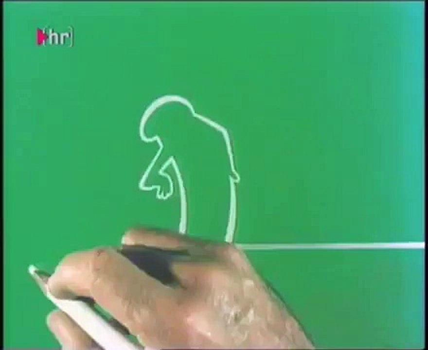 La Linea 105