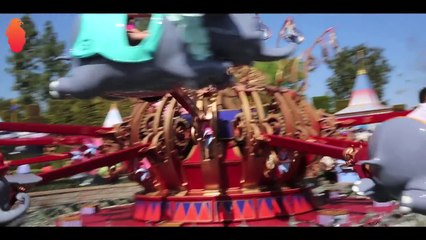 hayrettin Hayrettin ile Disneyland Turu disneyland