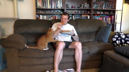Trying To Eat with a Cat Around!