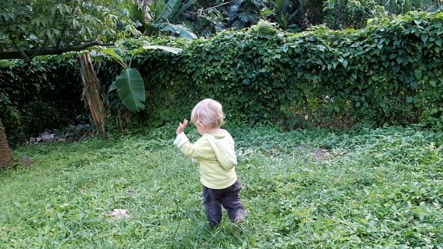 Soliman marche dans le jardin 21 12 2015