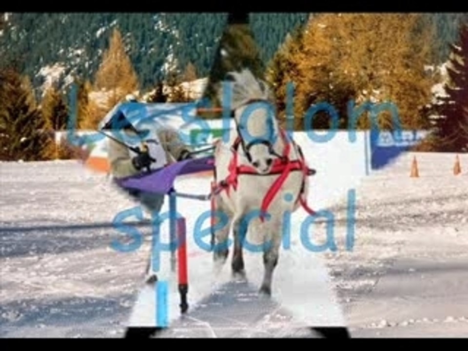 Ski joering montage