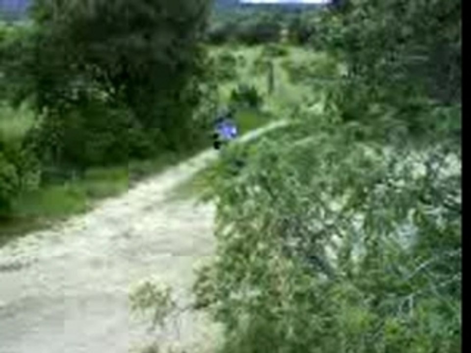 MOV04811