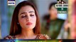 Gudiya Rani Episode 138 on Ary Digital