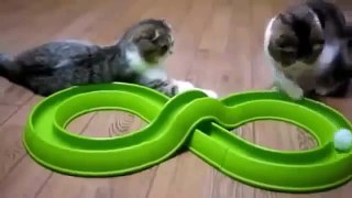 Приколы! подборка СМЕШНОГО видео котов! 20 мин Угара! подборка 2014 Funny Cats Compilation