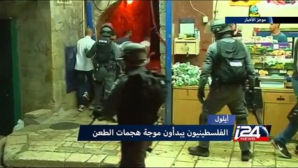 موجز الأخبار - منتصف الليل 31/12/2015