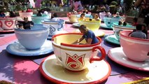 teacups Big Kid Goes Crazy On Teacups At Disneyland Disneyland