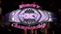NXT Women's Title Tournament Final Match - Paige vs Emma 24-07-13