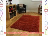 Ontario Luxurious Easy Clean Soft Cheap Terracotta Orange Shaggy Rugs - Available in 6 Sizes