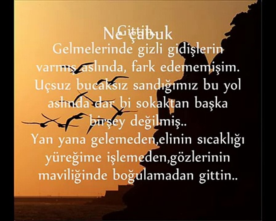SERCAN (GİTTİN)