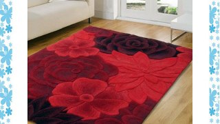 Textures Eden Red Rugs Vibrant 3D Effect Versatile Modern Contemporary Handtufted Wool Cheap