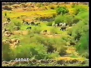 Quran Ke Tarikhi (Historical) Maqamat - PART 6
