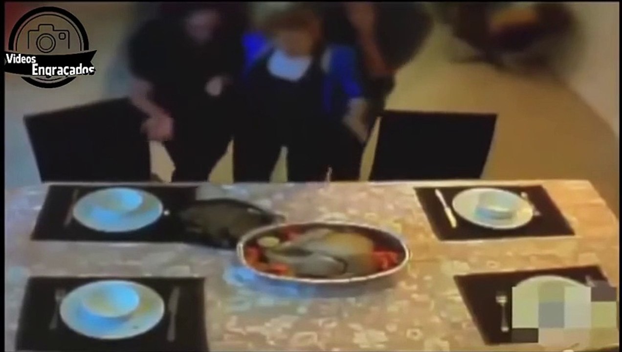 Videos engraçados 2015 Pra morrer de rir parte 487