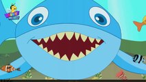 Finger Family Shark Family Nursery Rhyme | Animal Finger Family | Fish Finger Family