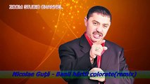 Nicolae Guta - Bani, hartii colorate, ZOOM STUDIO