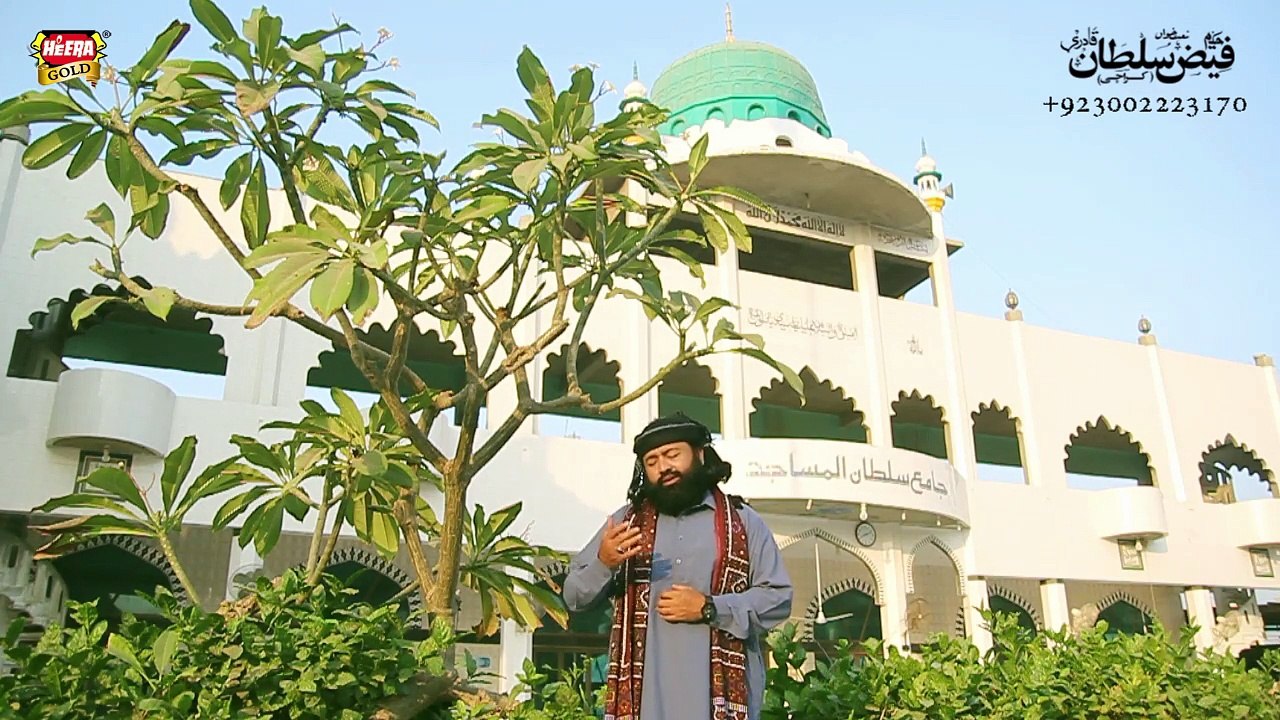 aaye mere pyaare Nabi New Urdu Naat By Hakeem Faiz Sultan Qadri Bagdadi 03002223170