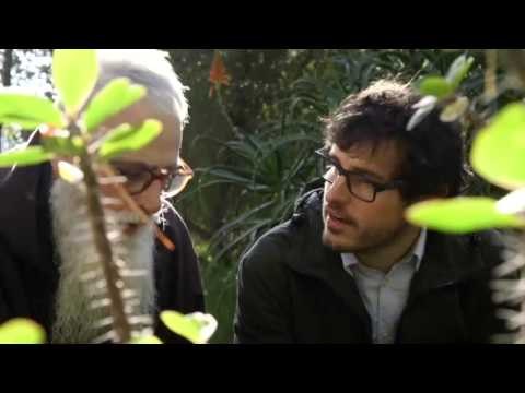 TV3 - Tria33 - Tria33 - capítol 154