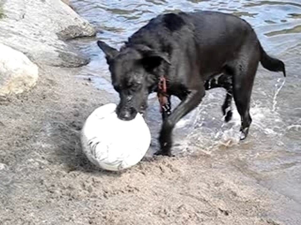 BRUMA Y SU PELOTA