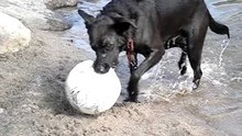BRUMA Y SU PELOTA