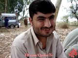 The Funniest Pathan-