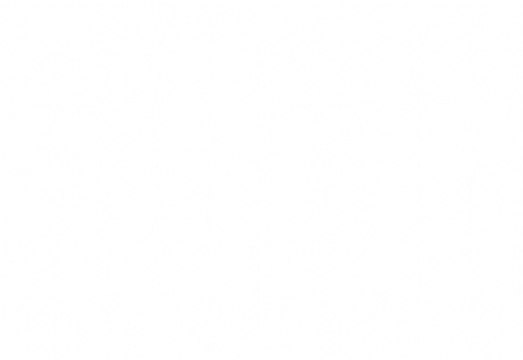 Gaziantep- Siverek ve İslahiye, Yeni Yıla Silah Sesleriyle Girdi