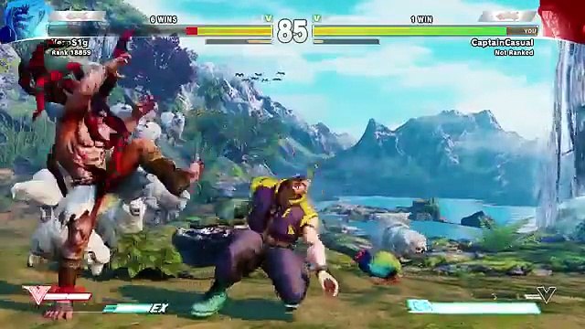 THE BIRDS & THE BEES- Street Fighter 5 Online Matches
