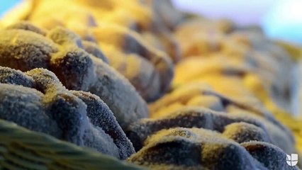 13. Las penas con pan son menos