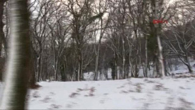 Yaban Hayvanları İçin Doğaya Yem Bırakıldı