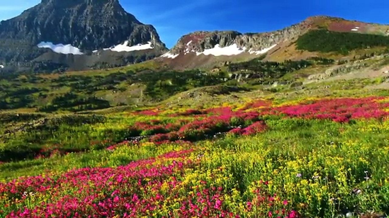 15 Minute Meditation Music Relax Mind Body: Healing Music, Relaxing Music, Relaxation Musi