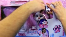 Baby Alive Dolls & Barbie Fashion Show & Magic Talking Doc & Jewel and her Pups