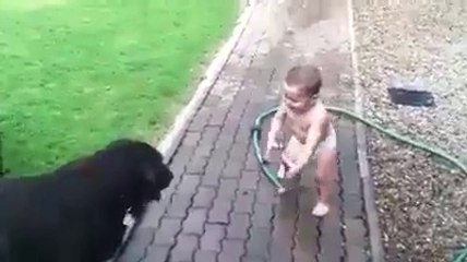 Cutest thing you will see today.Must watch.