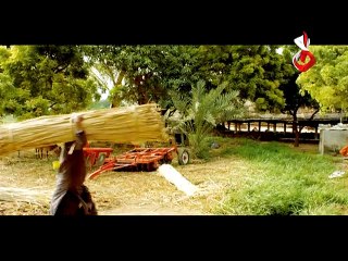 MAIN KAMLI | OST  | AAJ ENTERTAINMENT