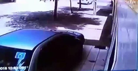 Woman Defends Herself From Thief With A Frozen Chicken