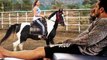 Salman Khan Teaches Girlfriend Iulia Vantur Horse Riding At His Farmhouse