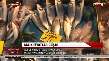 İSTANBUL'DA YOĞUN KAR YAĞIŞI BALIK FİYATLARINI %30 DÜŞÜRDÜ-1 OCAK 2016