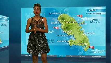 METEO MARTINIQUE LONGUE 311215