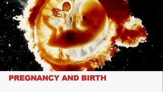 FSc Biology Book2, CH 18, LEC 6; Pregnancy and Birth