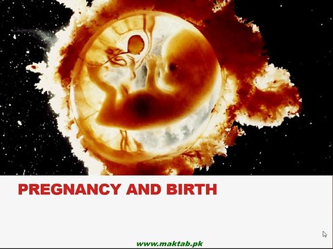 FSc Biology Book2, CH 18, LEC 6; Pregnancy and Birth