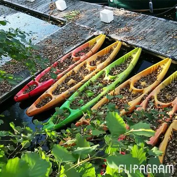 Bonne année 2016 et retour en photos sur 2015