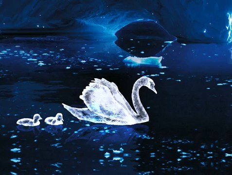 Ma carte Meilleurs voeux 2016 - Les rêves prennent vie