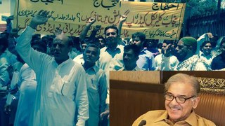 Punjab Employees thanks to Chief Minister Shehbaz Sharif